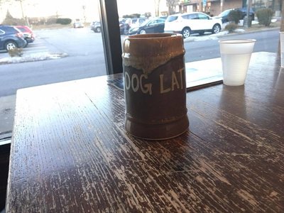 Dog Latin photo