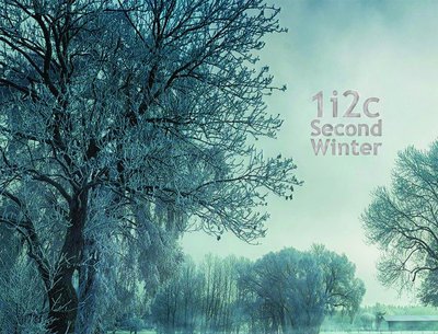 https://1i2c.bandcamp.com/album/second-winter-2022-album-2