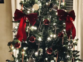 Our New Tree Nov 5th 2022