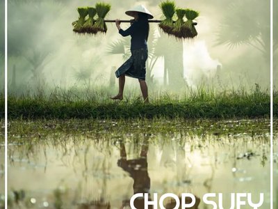 1st Chop Suey Single Cover Art
