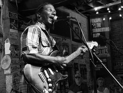 Steve Kolbus and the Clarksdale Blues Revue photo