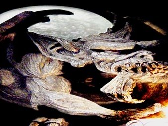 Twisted Folk photo