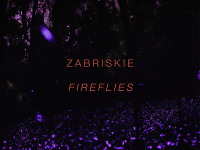 Zabriskie photo