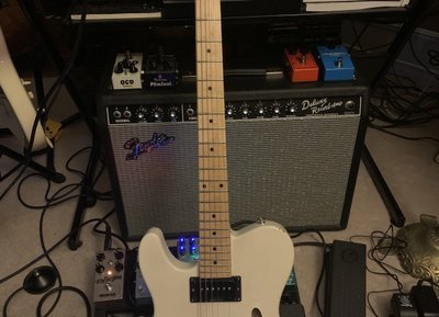 My electric workhorse, a custom built Thinline Tele. Good for just about everything.