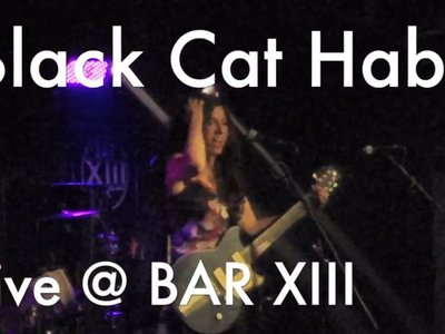 Black Cat Habitat photo