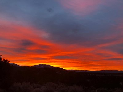 Shannon Brackett photo