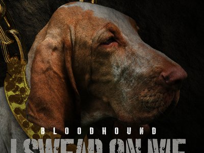BloodHound Dogg photo