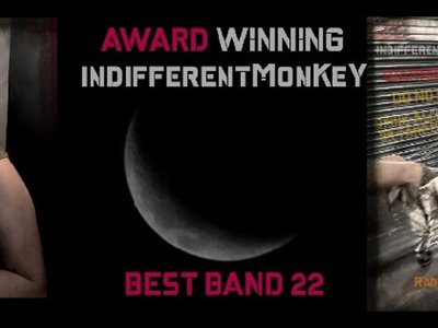 indifferentMonKeY photo