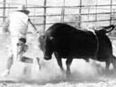 The Willie Stroker Show photo
