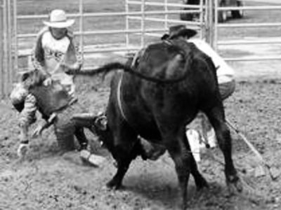 The Willie Stroker Show photo