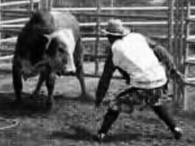 The Willie Stroker Show photo