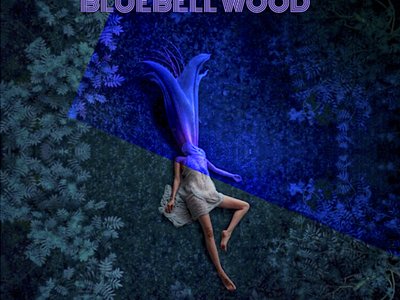 Bluebell Wood