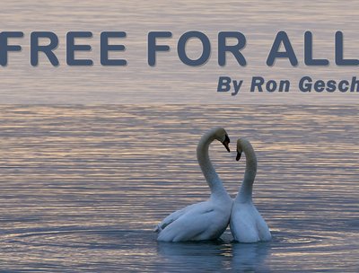 FREE FOR ALL