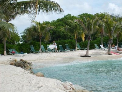 My Island