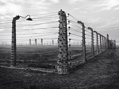 DONALD McCREA photo