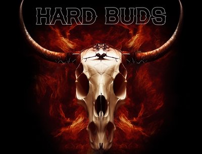 Hard Buds photo