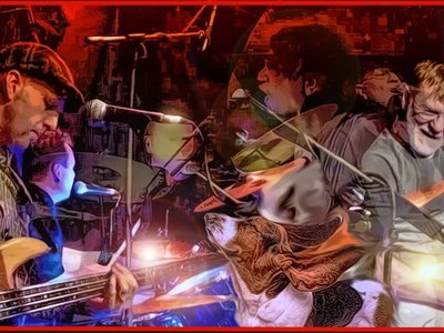 Groove Hounds photo