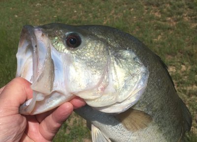 Good fishinâ€™ at the ranch