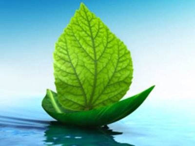 Green Sails photo
