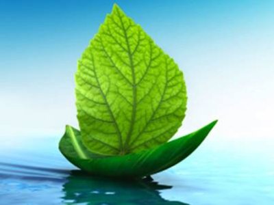 Green Sails photo