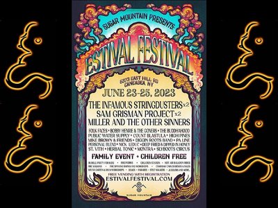 Friday, June 23rd The Buddhahood at Estival Festival at Sugar Mountain!