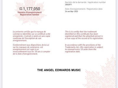 Angel Edwards (THE ANGEL EDWARDS MUSIC®️) photo