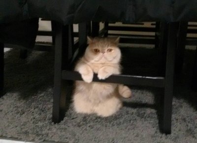Zoey being cute :)