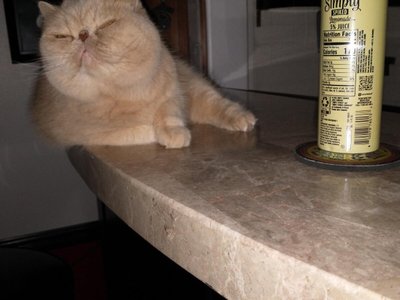 No, Zoey did not drink :)