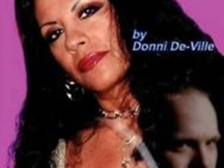 Cover of my published novel