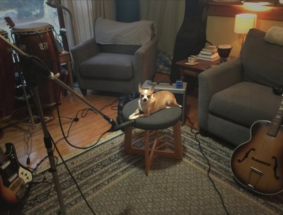 Groove Hounds photo