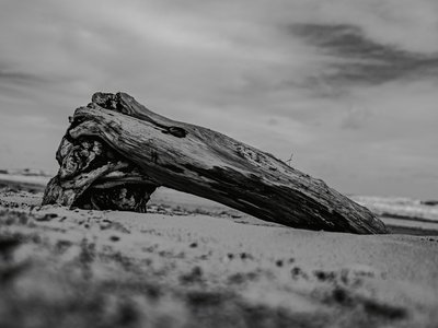 Dean Burnett & Weathered Wall photo