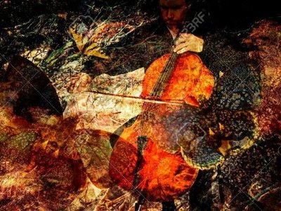 Cello