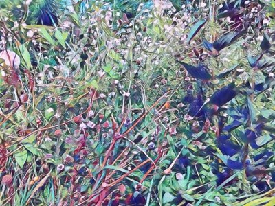 #Wildflowers #rekakiss #song #worldmusic