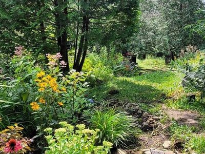 Voodoo Garden photo