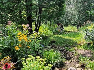Voodoo Garden photo