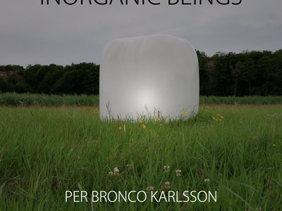 Inorganic Beings