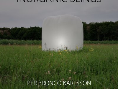 Inorganic Beings