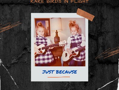 Rare Birds in Flight photo