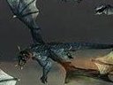 Dragons