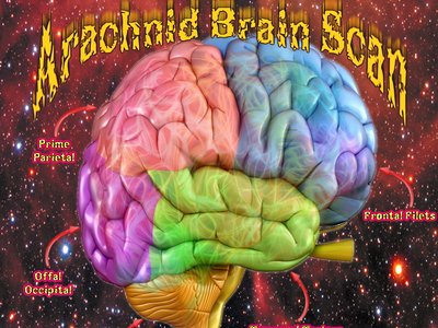 11 - Arachnid Brain Scan - Retch Factor 8 Return to the Nth Dimension