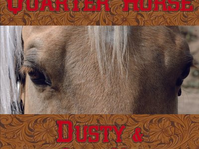Dusty and The LoveNotes photo