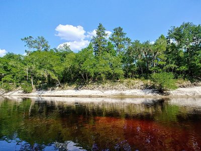 Suwannee River in White Springs, FL