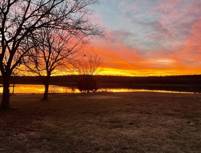 Tequila Sunset