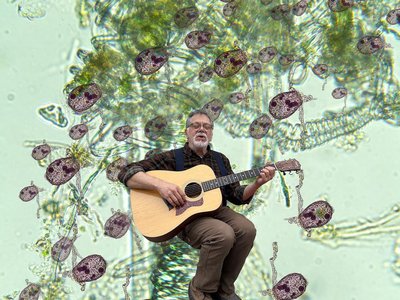 I was asked to write a song about roots and soil microbiome interaction. This is my brain on song!