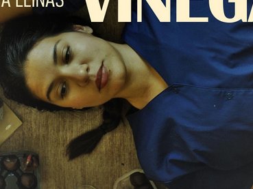 Lime & Vinegar movie poster