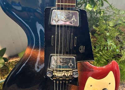 my guitar amongst plants