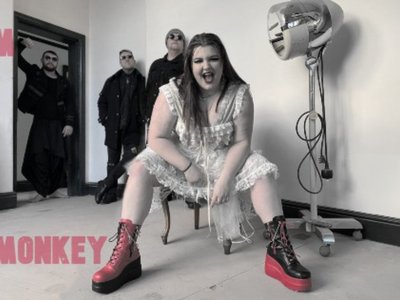 indifferentMonKeY photo