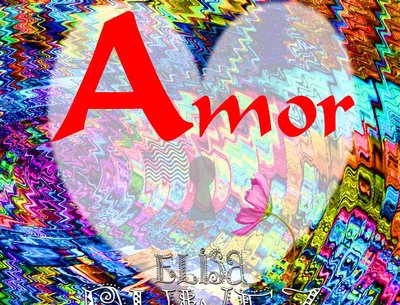 AMOR by ELISA DUWEZ
