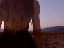 The Last Days (Flight Behavior single released Oct 19 2022) cover art