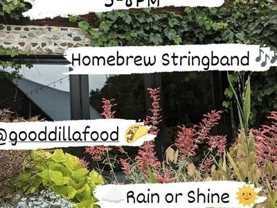 Homebrew Stringband photo